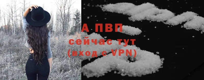 APVP СК КРИС  Выборг 